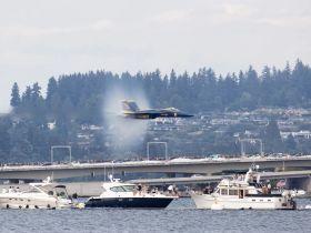 An impressive U.S. Navy jet performs at an airshow over the water, with boats filled with spectators enjoying the thrilling display.