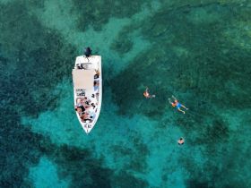 A lively group enjoys a day on the water, swimming and relaxing around a boat in crystal-clear waters — perfect for a fun-filled aquatic adventure.