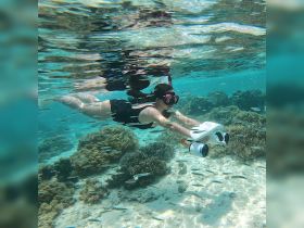 A snorkeler explores vibrant coral reefs while swimming through crystal-clear waters, showcasing the beauty of underwater adventures.