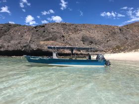 A side view of the boat 'Sphyrna' anchored in clear waters near a rocky shoreline, showcasing its structure against a beautiful natural backdrop.
