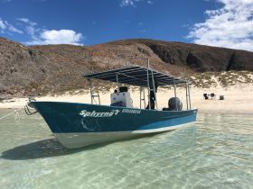 A vibrant boat named 'Sphyrna' anchored in shallow waters, showcasing its sleek design against a backdrop of sandy beach and rocky hills.