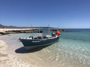 Explore Baja – Your Private Whale Safari