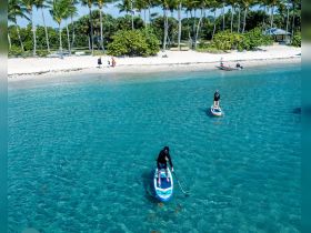 Two paddleboarders glide across the crystal-clear waters near a sandy beach, surrounded by lush palm trees — a perfect scene for water sports and outdoor adventures.