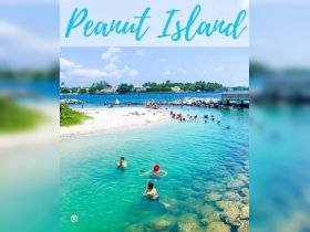 Visitors enjoy a sunny day swimming at Peanut Island, surrounded by clear turquoise waters and sandy shores — a perfect spot for relaxation and fun.