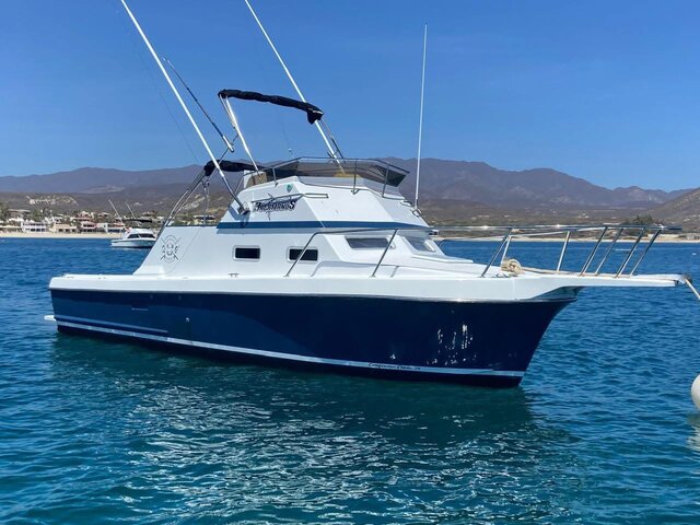 Listing image 1149968