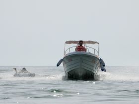 A thrilling moment as a person enjoys tubing behind a boat, showcasing the excitement of water sports and summer fun.