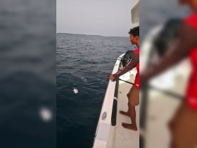 A fisherman reels in a catch while enjoying a day on the water, showcasing the thrill of fishing adventures.
