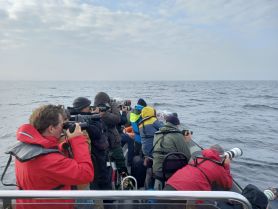 A group of photographers eagerly capturing the moment on a whale watching trip, showcasing the excitement of marine wildlife encounters.