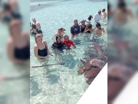 A lively group interacts with stingrays in shallow waters, creating an unforgettable wildlife experience in a tropical paradise.