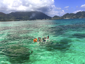 A joyful group of snorkelers enjoys the crystal-clear waters, making for a perfect family adventure in a stunning tropical setting.