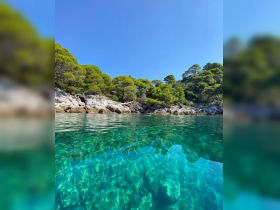 A stunning view of crystal-clear waters and lush greenery along the coastline, perfect for showcasing the beauty of island destinations.