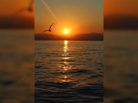 A stunning sunset casts a golden glow over the water, creating a picturesque scene perfect for romantic evenings or serene boat trips.