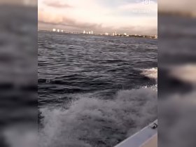 A scenic view of the water with a distant city skyline, capturing the essence of a relaxing boat trip. Ideal for showcasing waterfront adventures.