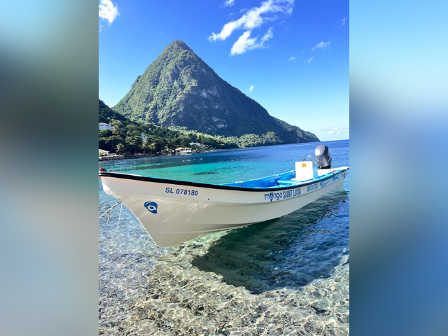 Listing image 1153859