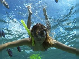 A snorkeler explores vibrant underwater life, surrounded by colorful fish in crystal-clear waters — a perfect snapshot of aquatic adventure.