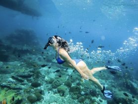 A snorkeler explores vibrant coral reefs and colorful fish underwater, showcasing the beauty of marine life during an unforgettable snorkeling adventure.