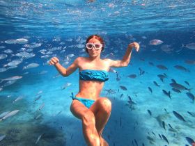 A swimmer enjoys an underwater adventure surrounded by schools of fish, showcasing the vibrant marine life in crystal-clear waters.