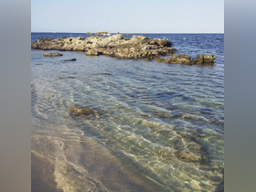 Charter Image