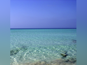 Charter Image
