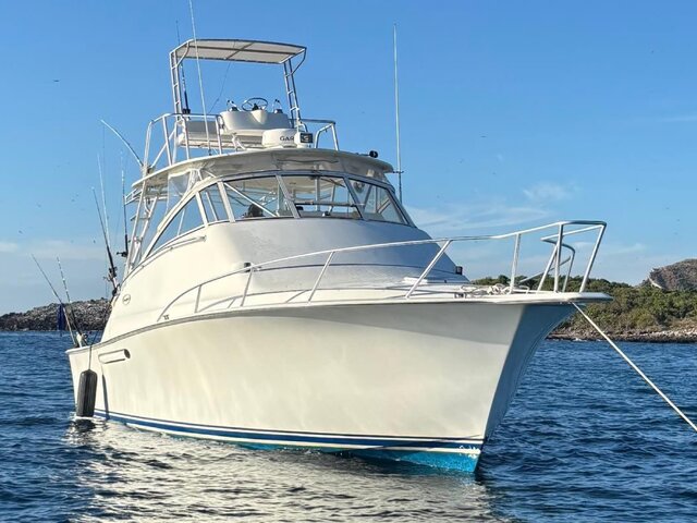 Listing image 1151504