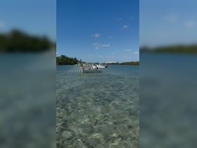 A lively scene at a sandbar with multiple boats and guests enjoying the clear waters — perfect for a fun day on the water.