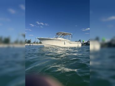Suncoast Marine Tours