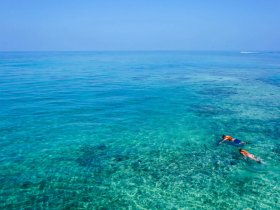 Two snorkelers explore the vibrant underwater world in crystal-clear waters, showcasing the beauty of marine life and adventure on the water.