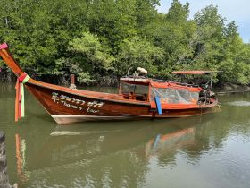 A traditional wooden tour boat, T. Thanara, docked in a serene mangrove setting, perfect for exploring nature and local waterways.