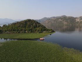 Aerial view of a boat navigating through lush green waters surrounded by scenic hills, showcasing the beauty of nature and tranquility on the water.