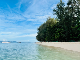 A picturesque beach scene with clear waters and lush greenery, perfect for relaxing and enjoying the natural beauty of the coastline.