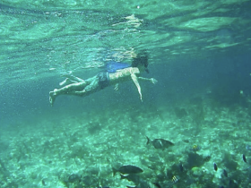 Charter Image