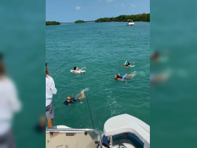 A lively group enjoys swimming in the clear turquoise waters, showcasing a fun day of water activities and relaxation under the sun.