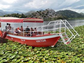 A cheerful group enjoys a scenic boat ride on a tranquil lake surrounded by lush greenery and mountains, perfect for nature exploration.