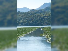 A serene view of a winding waterway surrounded by lush greenery and mountains, perfect for nature lovers and scenic boat trips.