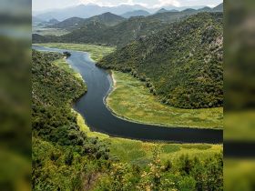 A breathtaking aerial view of a winding river surrounded by lush greenery and mountains, showcasing the natural beauty of the landscape — perfect for eco tours and scenic boat trips.
