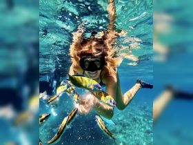 A snorkeler interacts with colorful fish in crystal-clear waters, showcasing the vibrant underwater life — a must-see experience for marine enthusiasts.