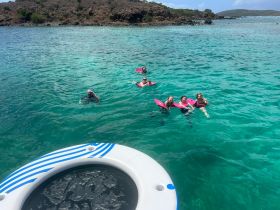 A lively group enjoys swimming and snorkeling in the crystal-clear waters, showcasing the perfect day for aquatic adventures.