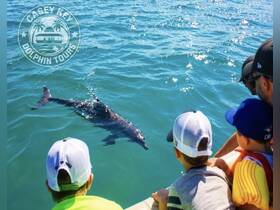 Children excitedly watch a dolphin swimming close to their boat during a dolphin tour — a memorable wildlife encounter in the beautiful waters of Casey Key.
