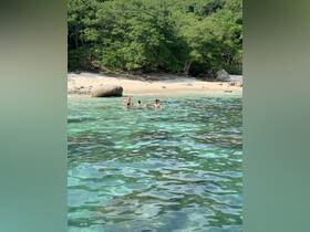 A lively group enjoys swimming in the clear waters near a beautiful beach, perfect for a fun day out in nature.