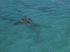 Charter Image
