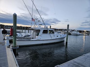 Bloodline Charters