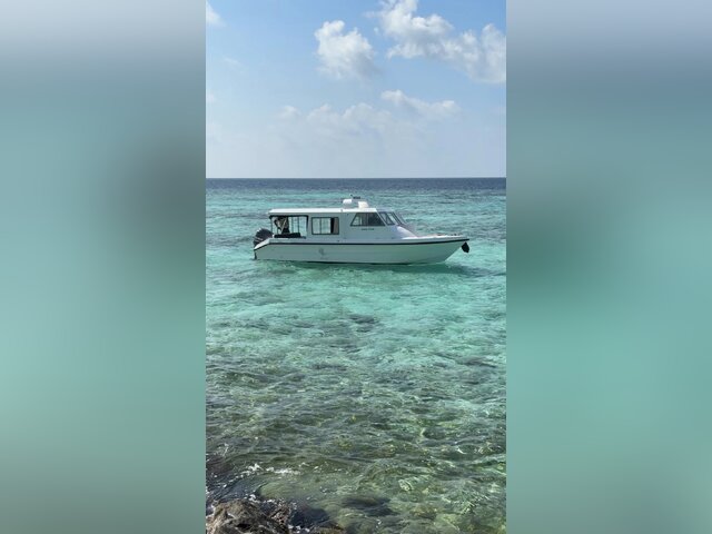 Listing image 1153275
