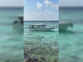 A sleek boat is anchored in crystal-clear waters, showcasing its design against a stunning tropical backdrop — perfect for day trips and excursions.
