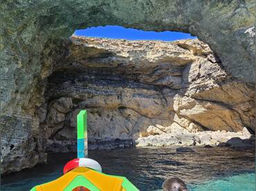 Sea Lion Cruises