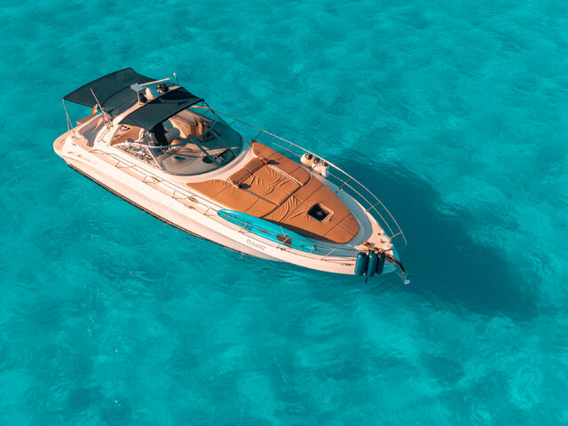Listing image 1153641