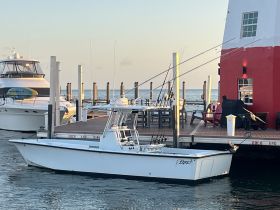 A sleek speedboat named 'Egret' docked at a marina, showcasing its clean lines against a picturesque waterfront backdrop.