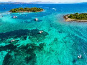 A stunning aerial view of multiple boats anchored in crystal-clear turquoise waters near a lush island, showcasing the beauty of a perfect day on the water.