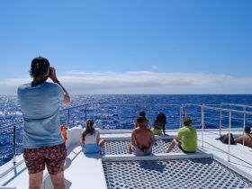 A group of guests relaxes on the deck of a boat, enjoying the stunning ocean view and capturing memories with photography — perfect for a day of adventure on the water.