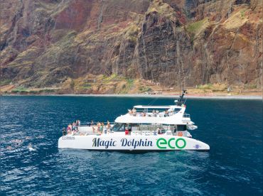 Magic Dolphin Dolphin and Whale Watching