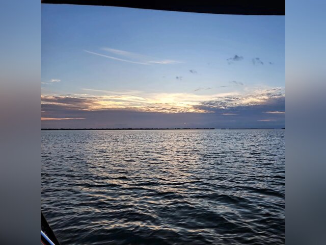 Listing image 1155796